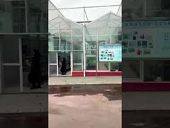 Nhà máy axit amin Sichuan Shihong -Lulu