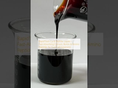 RapidTrack Ca-B Peptide Liquid ️ Thức hấp thụ nhanh Calcium, Boron & Amino Peptides để mở rộng tế bào trái cây