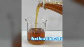 Tăng cường năng suất lên men tạo ra protein đậu nành có enzyme