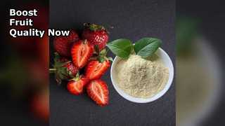 Phân bón canxi hữu cơ tăng năng suất trái cây