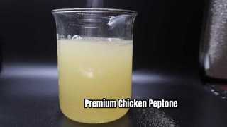Peptone gà cấp sinh học
