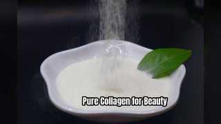 Collagen Peptide nguyên chất cho da & khớp
