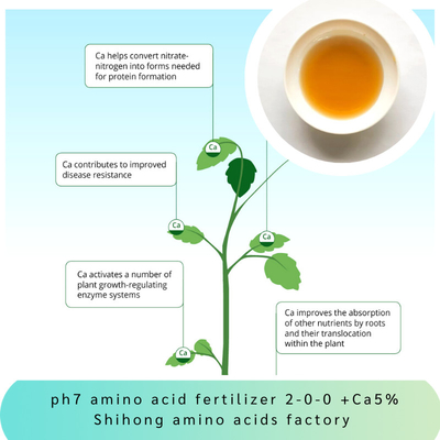 Enzymatic Amino Acid Chelated Calcium 5% NPK 2-0-0 Organic Nitrogen Liquid Fertilizer Chlorine Free