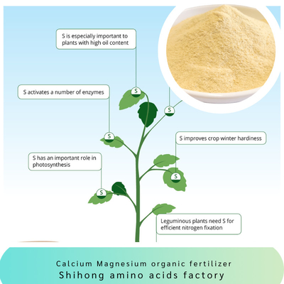 Customized Powder Amino Acid Chelated Multi Elements Ca Mg