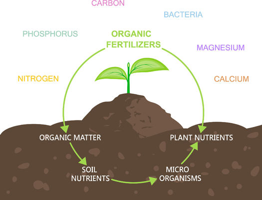 OMRI Listed Organic Amino Acid Fertilizer with 80% Amino Acid Content and 16% Organic Nitrogen for Sustainable Farming