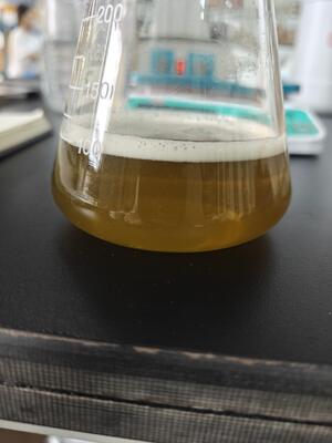 Shihong Enzymatic Amino Acid 90% Powder Nutrition Vegetal Origin Organic Fertilizer Raw material