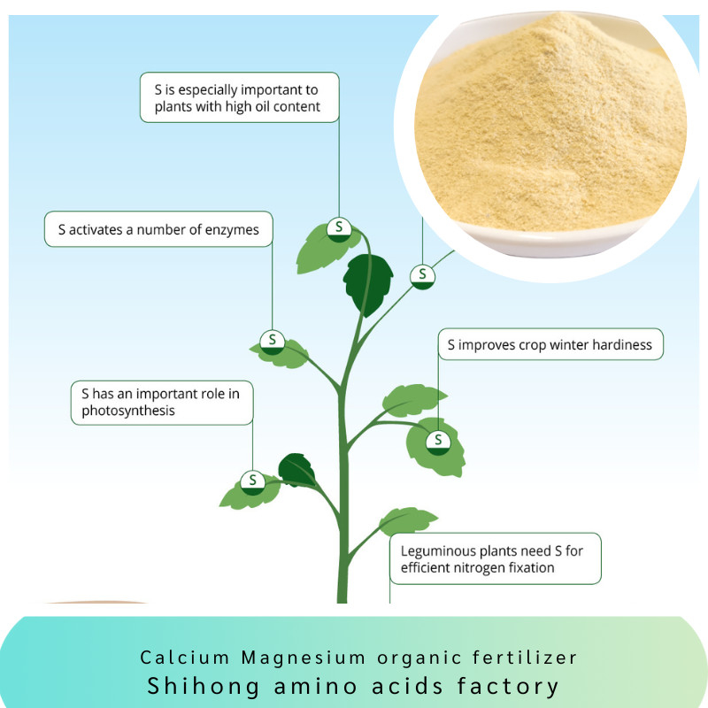 Customized Powder Amino Acid Chelated Multi Elements Ca Mg