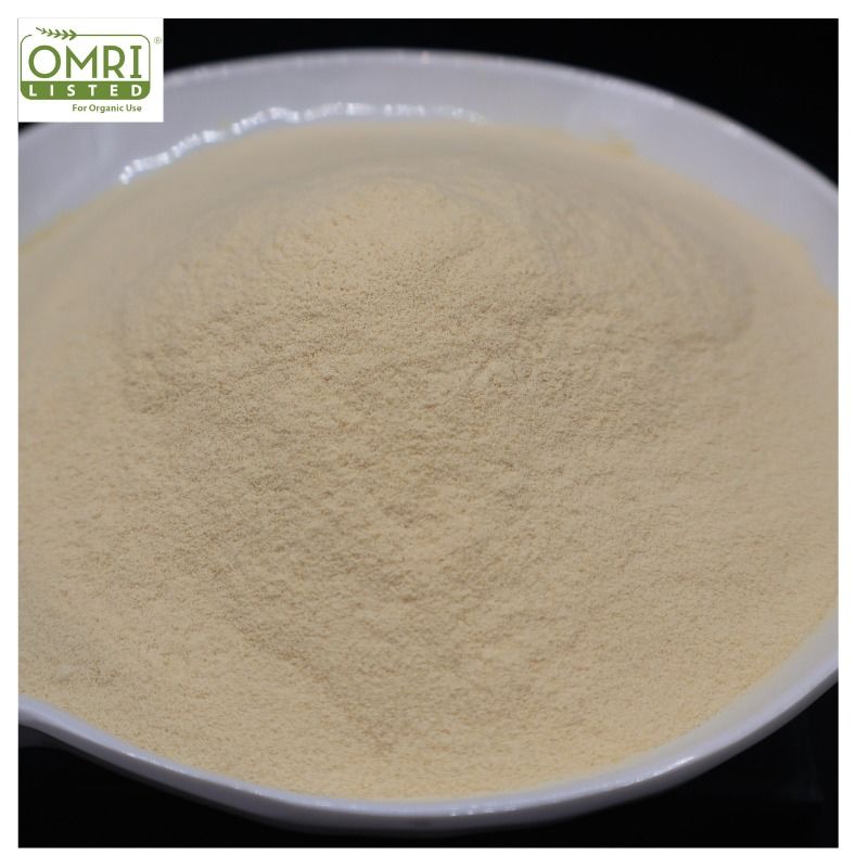 Enzymatic Hydrolyzed Soy Protein Powder: Advanced Organic Nitrogen Substrate for Industrial Fermentation